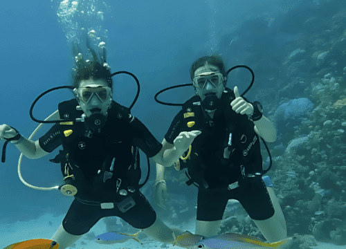 Diving