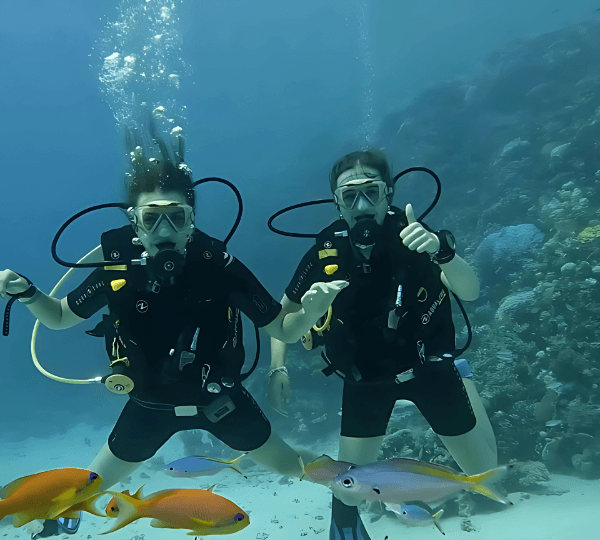 Diving