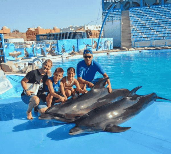 Dolphin Show