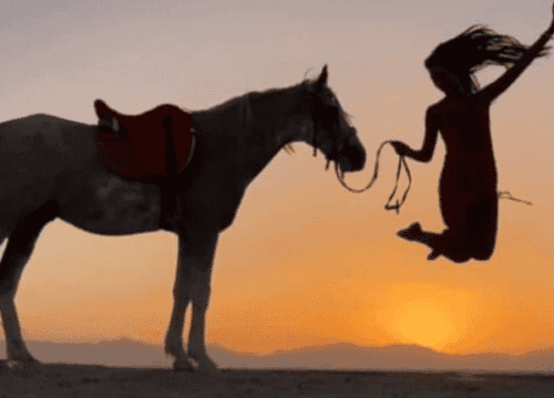 Horse Riding 3 Hours