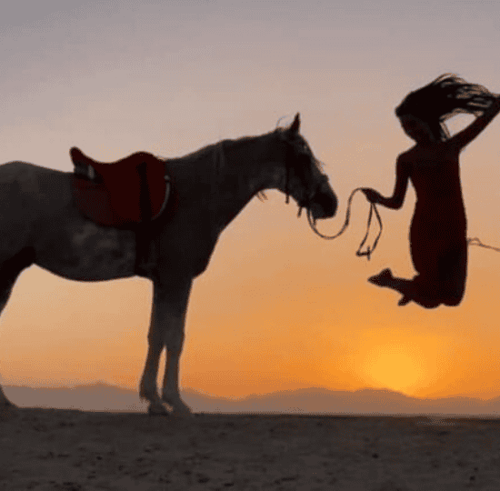 Horse Riding 3 Hours