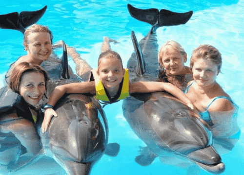 Photo Session with Dolphins