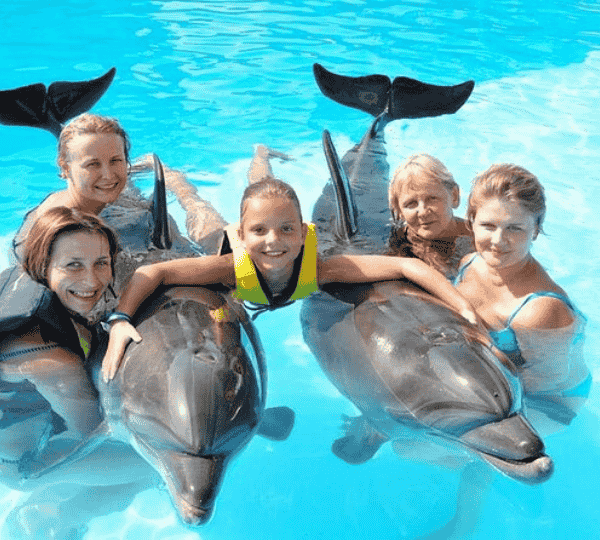 Photo Session with Dolphins