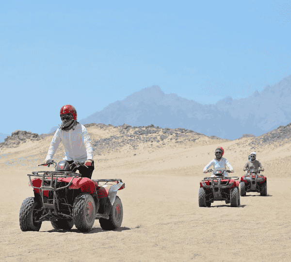 Desert Journey