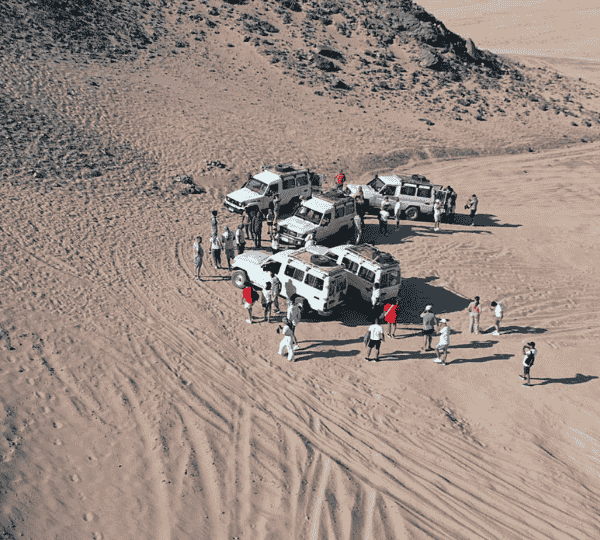 Desert & Safari