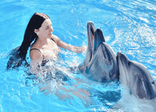 Swimming with Dolphins