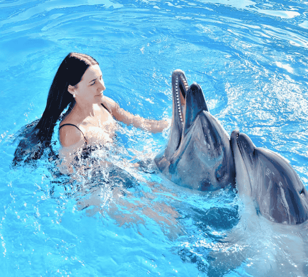 Swimming with Dolphins